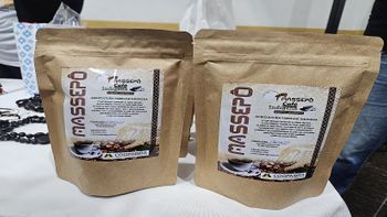 Produção do café da espécie robusta amazônico envolve 45 pessoas da Aldeia Massepô, em Barra do Bugres - Foto por: Rita de Cássia Nascimento