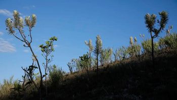 Foto: Joédson Alves / Agência Brasil