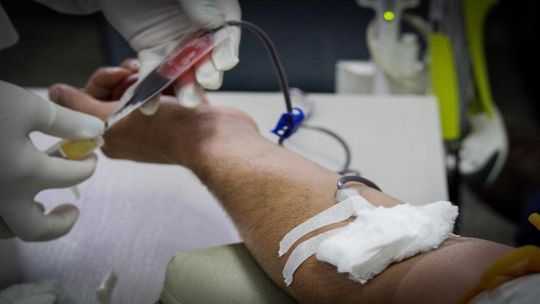 O sangue coletado beneficia pessoas internadas e em tratamento nas unidades e hospitais do SUS em todo o Estado Crédito - Secom