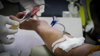 O sangue coletado beneficia pessoas internadas e em tratamento nas unidades e hospitais do SUS em todo o Estado Crédito - Secom