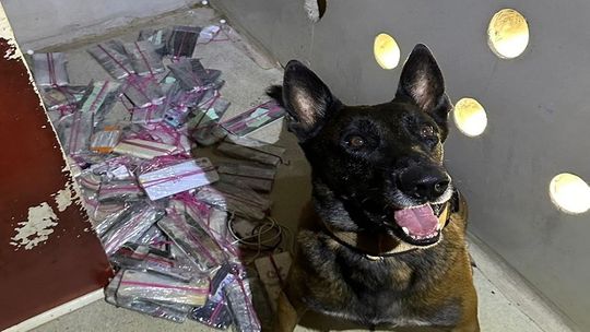 Furya após localização de celulares na Mata Grande, Rondonópolis - Foto por: Soe-MT