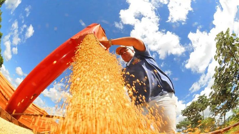 © Prefeitura de Campo Grande/Divulgação