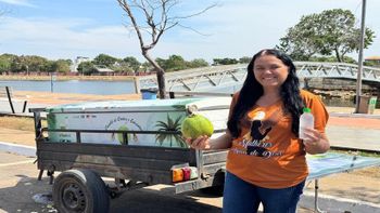 Clara Campos | Desenvolve MT