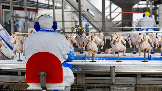 Foto: Beatriz Batalha / Mapa