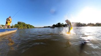 A atividade movimenta cerca de R$ 3 bilhões por ano no Brasil, gerando aproximadamente 200 mil empregos - Foto por: Arquivo pessoal