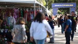 Marcelo Camargo / Agência Brasil