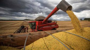 Wenderson Araujo/Trilux