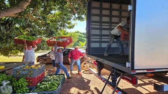 Produção de hortifruti sendo carregada no assentamento Santo Antônio da Fartura em Campo Verde em caminhão doado pela Seaf por meio da prefe