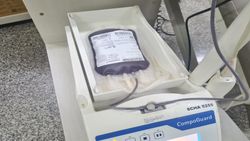 Luiza Goulart | SES-MT