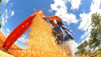 Prefeitura de Campo Grande / Divulgação