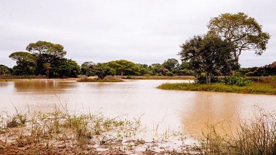 Crédito - Mayke Toscano Secom-MT
